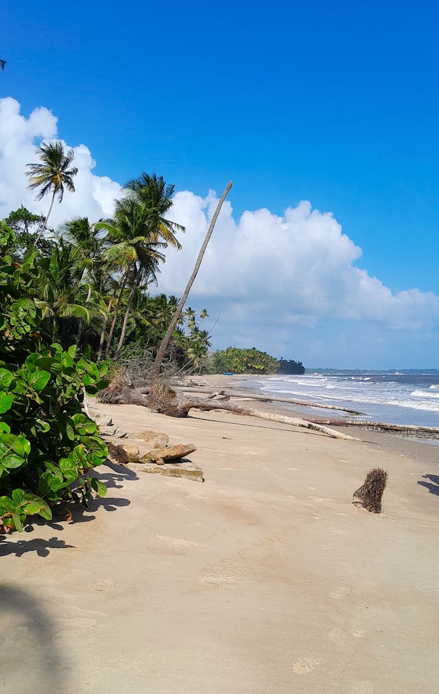 Trinidad and Tobago Travel Guide: Carnival, Nature & Island Bliss